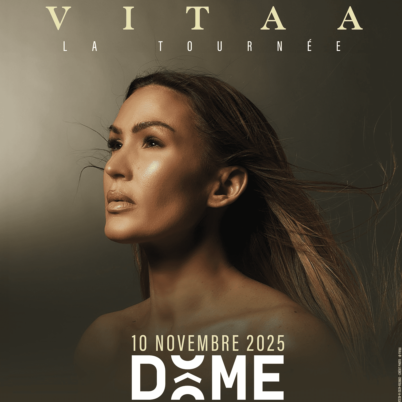 VITAA - La Tournée - Spectacle recommandé Affiche du spectacle VITAA - La Tournée - Concert