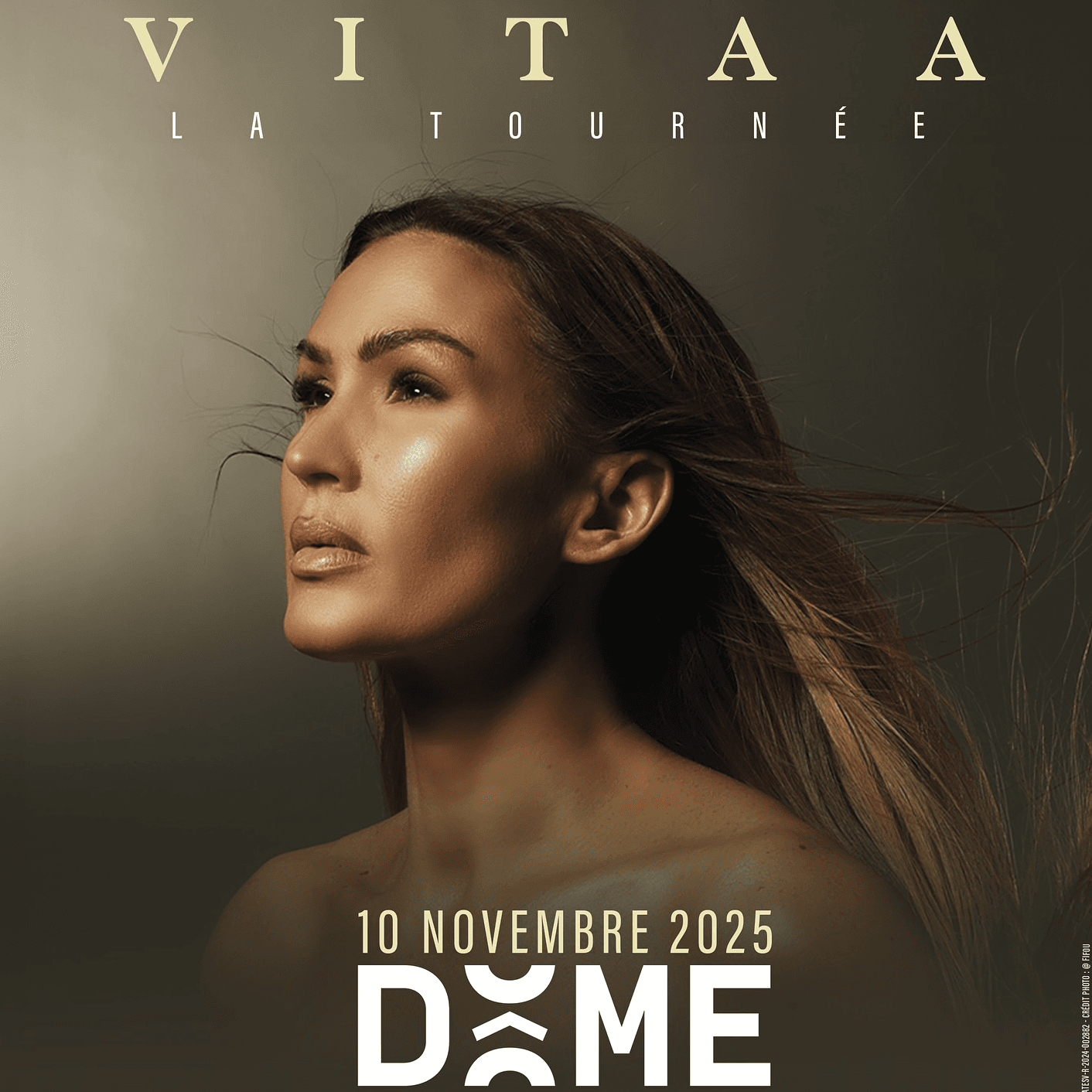 VITAA - La Tournée - Spectacle Concert Affiche du spectacle VITAA - La Tournée - Concert
